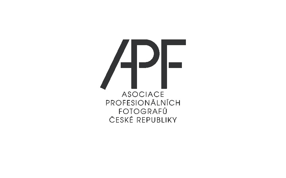 Asociace profesionálních fotografů