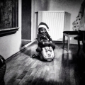 iv---z-petrova-instagramu-2.jpeg