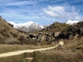 kamila-horakova-5.jpg