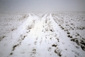 karel-prskavec-cesty-028.jpg