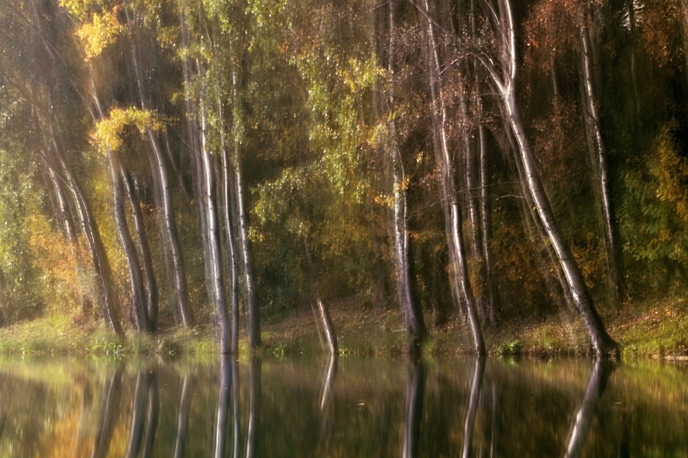 petra-tomastikova-podzimni-romance.jpg