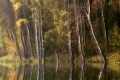 petra-tomastikova-podzimni-romance.jpg