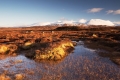 vaclav-spetlik---skotsko,-rannoch-moor.jpg