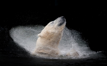 Michaela_Šmídová_Czech_Republic_Winner_Open_Nature and Wildlife_2016 Sony World Photography Awards