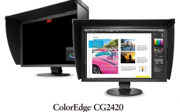 CG2420