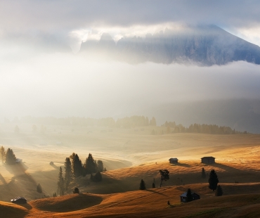 Martin Rak