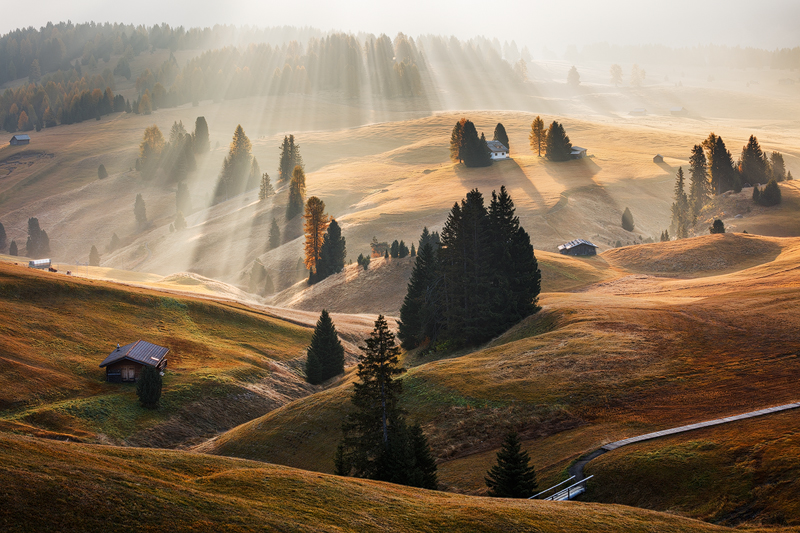 Martin Rak