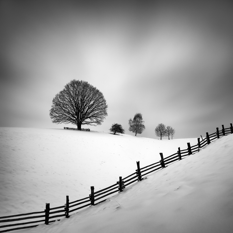 Martin Rak