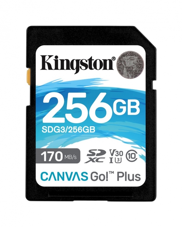 kingston-sdxc-256gb-canvas-go-plus.jpg