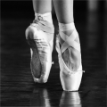 alena-frankova-en-point-(1).jpg