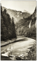 michal-gurnik-4.jpg