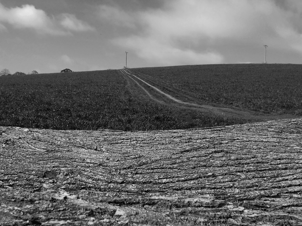 vojtech-rybak-5.jpg
