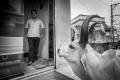 Magdaléna Straková, Cows Life In India_6