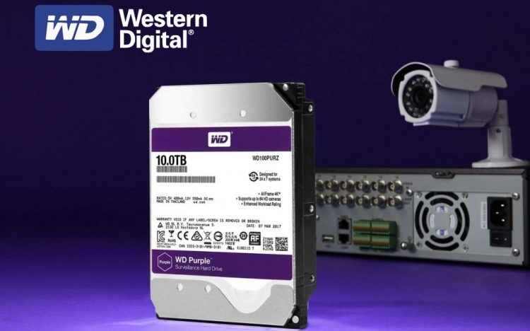 graphic-wd-purple-1.jpg