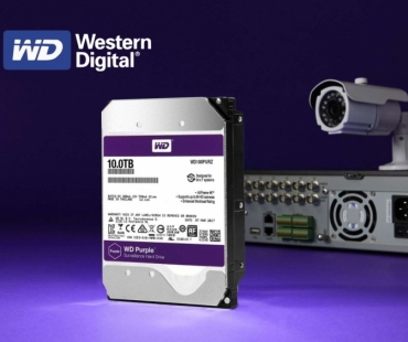graphic-wd-purple-1.jpg