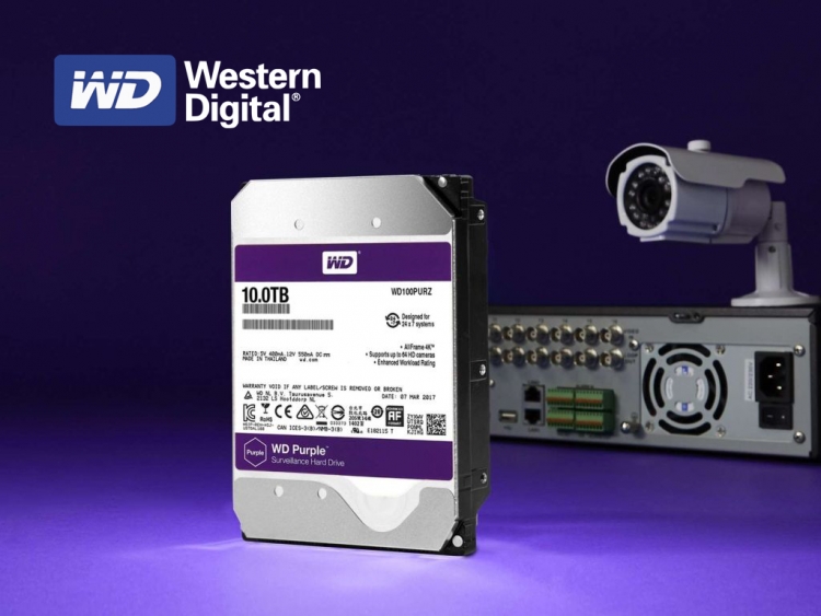 graphic-wd-purple-1.jpg