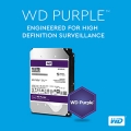 graphic-wd-purple.jpg