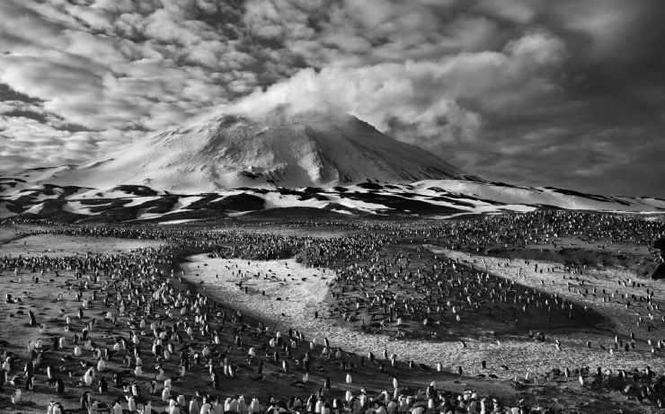 Sebastião Salgado – Genesis