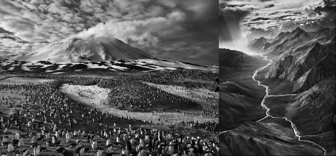 Sebastião Salgado – Genesis