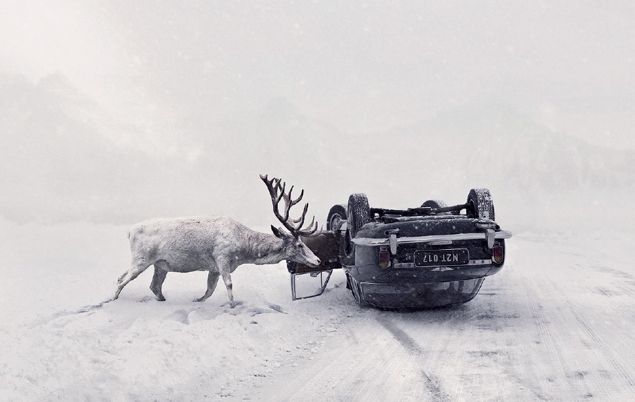 Martin Stranka, UNTIL YOU WAKE UP