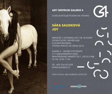 Sara Saudková, Joy