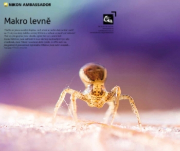 Petr Jan Juračka, Makro Levně