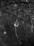 05-veronika-kocianova-rain-5.jpg
