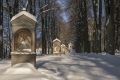 Petr Germanič, cvikovska-kalvarie.jpg