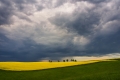 ilona-rosenkrancova-germany-fields-ilona.rosenkrancova@seznam.cz-nature-contrasts.jpg