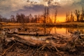 jiri-durdik-bazina(moorland)-1.jpg