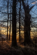 jiri-durdik-bazina(moorland)-3.jpg