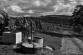 ladislav-mrkva01.jpg