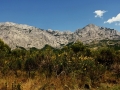 nature--(16)dana-klimesova-email,-klimesova.dana@seznam.cz-tel.jpg