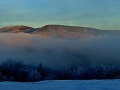 nature--(2)dana-klimesova-email,-klimesova.dana@seznam.cz-tel.jpg
