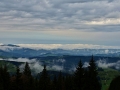nature--(6)dana-klimesova-email,-klimesova.dana@seznam.cz-tel.jpg