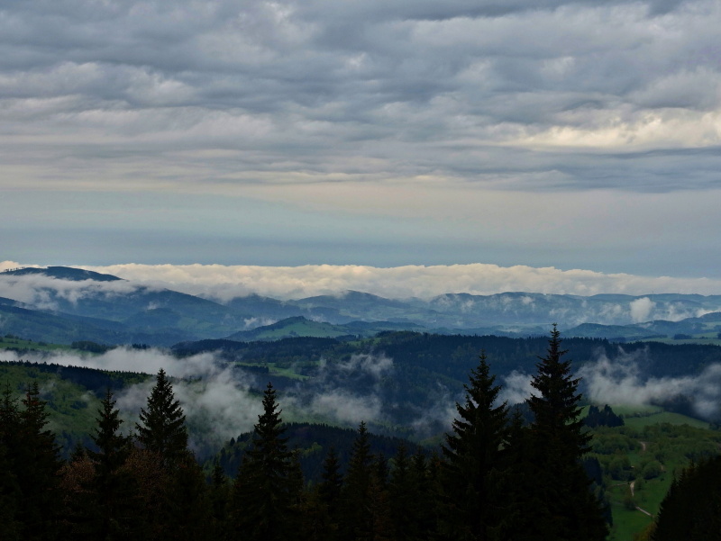 nature--(6)dana-klimesova-email,-klimesova.dana@seznam.cz-tel.jpg