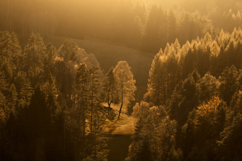 tomas-morkes---ceske-svycarsko.jpg