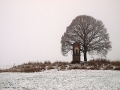 u-nas-milan-sedlacek03.jpg