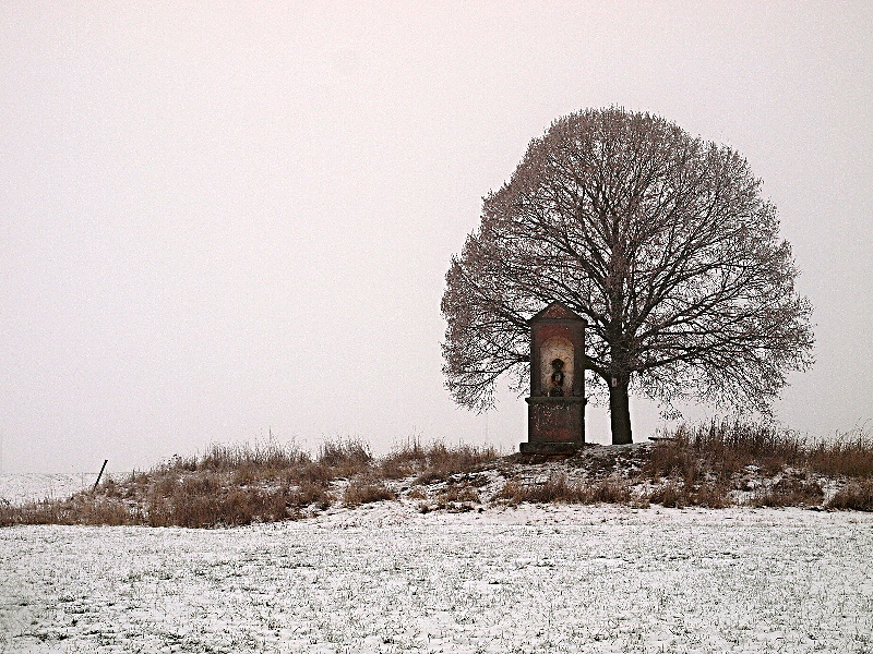 u-nas-milan-sedlacek03.jpg