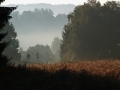 u-nas-milan-sedlacek06.jpg
