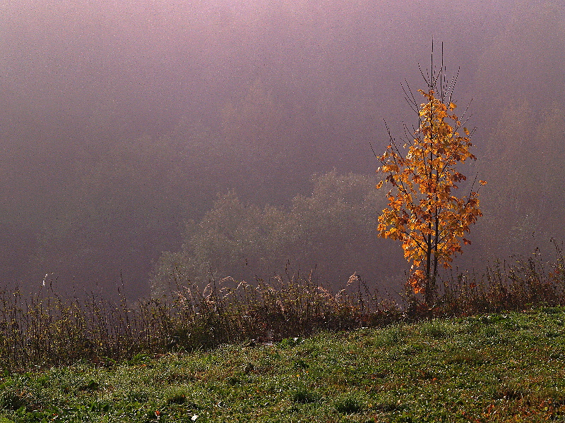 u-nas-milan-sedlacek07.jpg