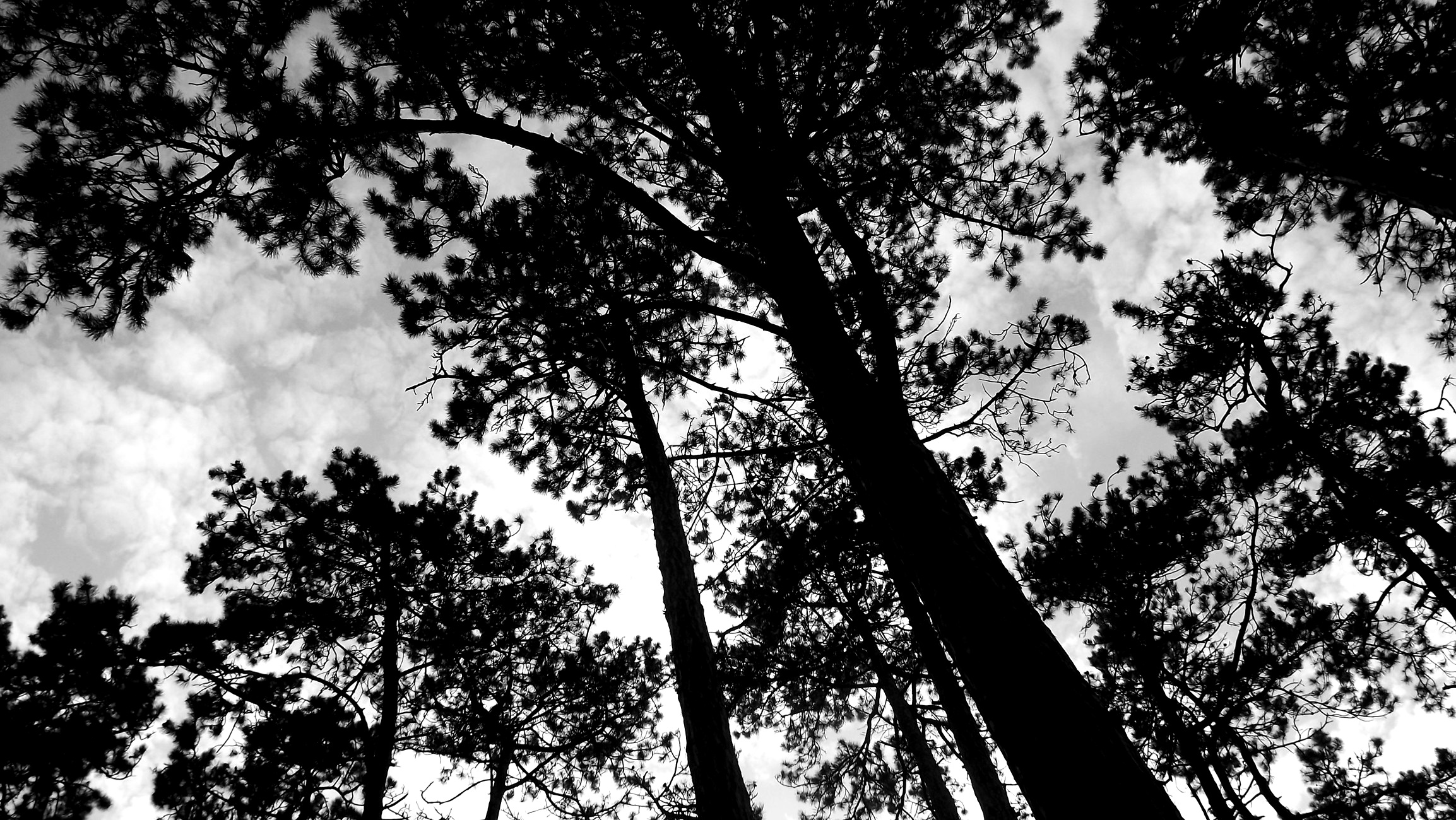 until-the-sky-(nikola-havranova,slovakia).jpg