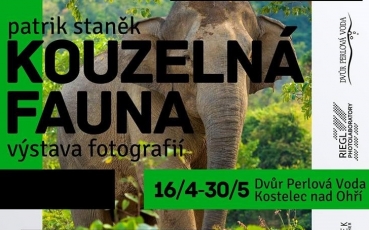 Patrik Staněk, Kouzelná fauna