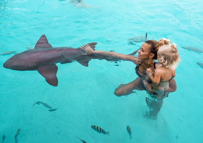 bahamas-sharks.jpg