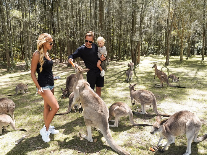 the-sikls-australia-kangaroo.jpg
