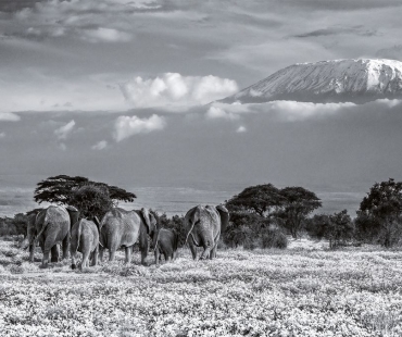 David Yarrow
