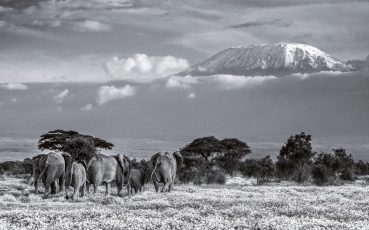 David Yarrow