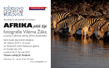 vilem-zak-vystava-1000x600px.jpg