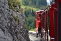 kvetuse-cajtchamlova,-rakousko---horska-draha-schafbergbahn.jpg