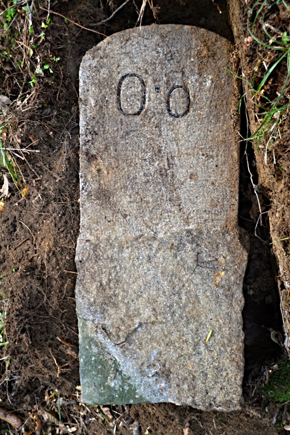 kvetuse-cajtchamlova,-zasla-slava-nulteho-kilometru.jpg